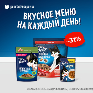 Скидка до 33% на корма FELIX